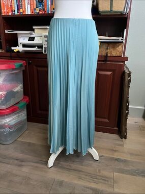 Light Blue Pleated Maxi Skirt - Women